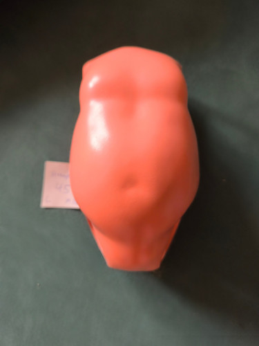 Schildkröt puppen torso - schildkröt , : 