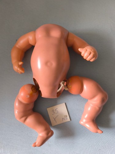 Schildkröt puppen - schildkröt , : 